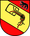 Bernerwappen mit Chaosknoten